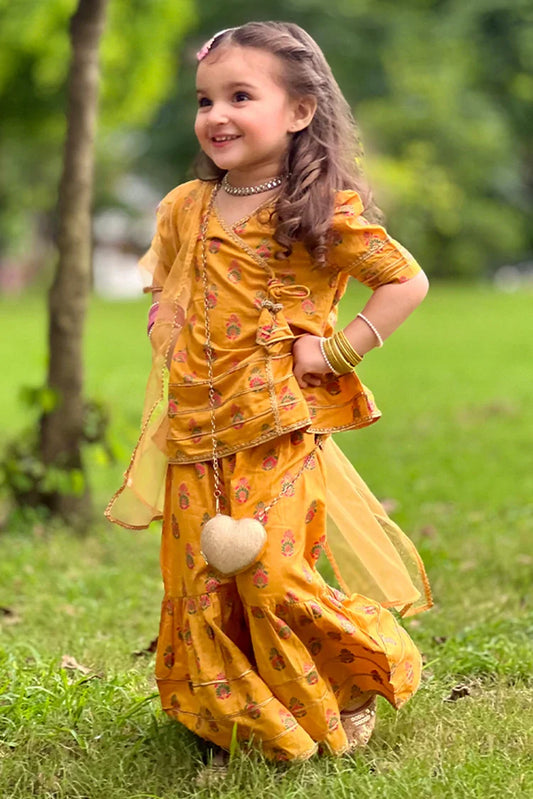 Picture of Modest - Festive Collection - Shining Bee - Available at Raja Sahib