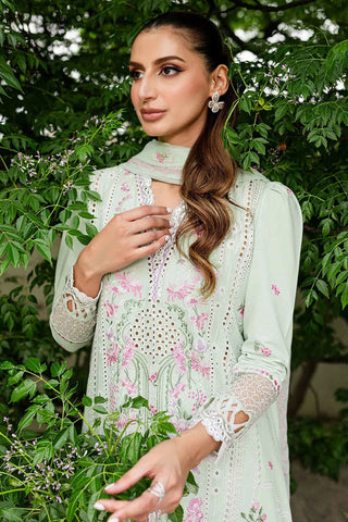 SSC-01-24 Mint Garden Shiree Embroidered Lawn Collection