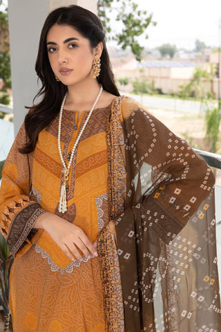 CC 25 Combination Embroidered Lawn Collection Vol 3