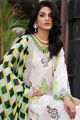 CRB4 14 Rang e Bahaar Embroidered Lawn Collection Vol 2