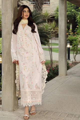PS 03 IRSA Festive Lawn Collection