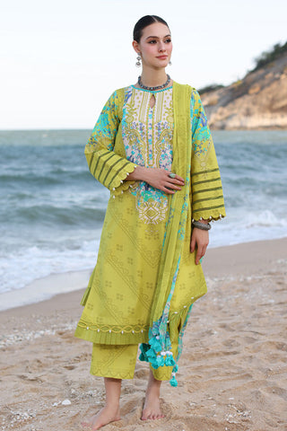 CP4-48 C Prints Printed Lawn Collection Vol 6