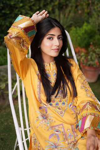 Embroidered Lawn Suit P1035 - 2 Piece