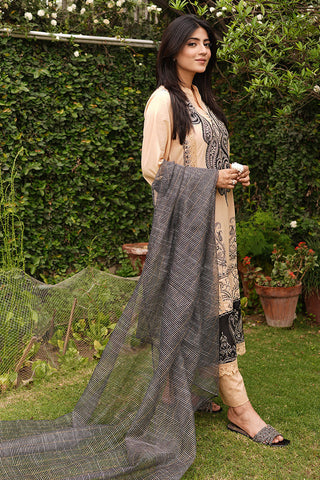 Embroidered Lawn Texture Suit P1059 - 3 Piece
