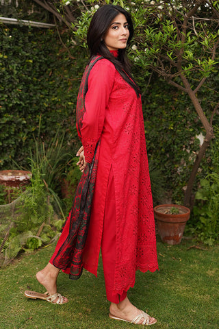 Embroidered Lawn Suit- P1070 - 2 Piece
