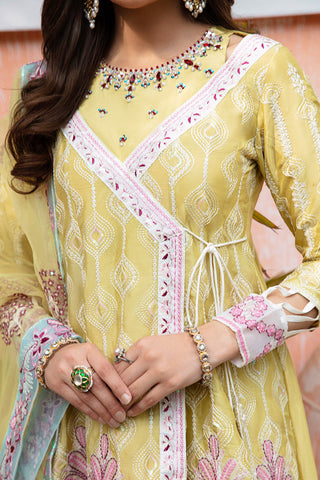 Rang e Noor Luxury Pret Collection - Kanwal