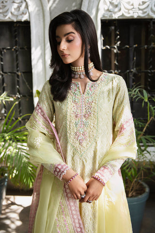 Rang e Noor Luxury Pret Collection - Nargis