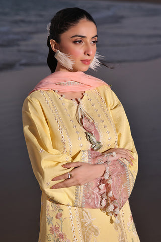 Saahil Signature Lawn Collection - Mushq