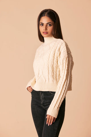 Turtle Neck Pullover Sweater