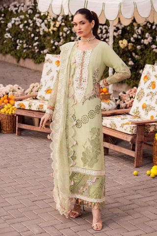 SR 204 Fauna Roman Holiday Luxury Lawn Collection