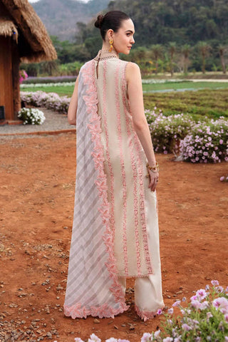 06 CLARA Luxury Lawn Collection