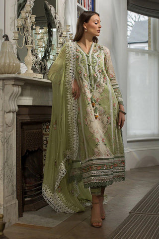 Design 14A Luxury Lawn Collection