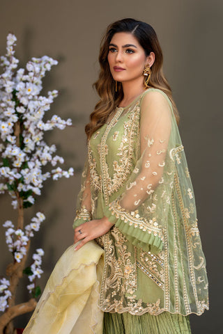 Afsana Pret Collection - AR2055