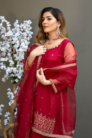 Afsana Pret Collection - AR2056