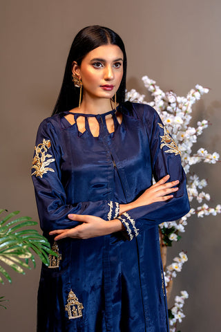 Afsana Pret Collection - AR2066