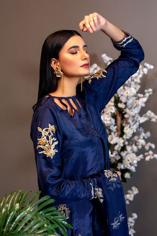 Afsana Pret Collection - AR2066
