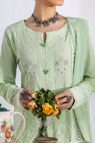 Gull Premium Embroidered Collection - 5249