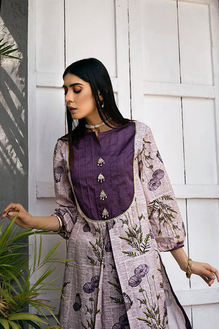 Ready to Wear Summer Lawn Collection - Hazel