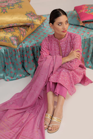 LBD-02567 | Shocking Pink & Gold | Casual plus 3 Piece Suit  | Cotton Yarn dyed Jacquard