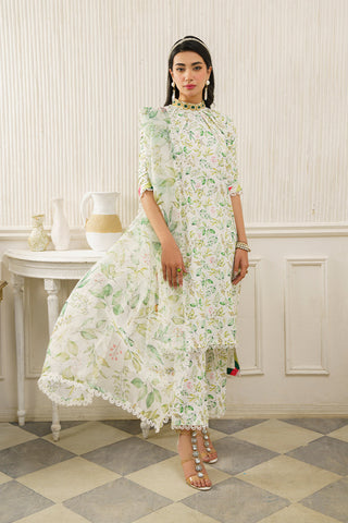 Neo RTW Collection - Botanical Green