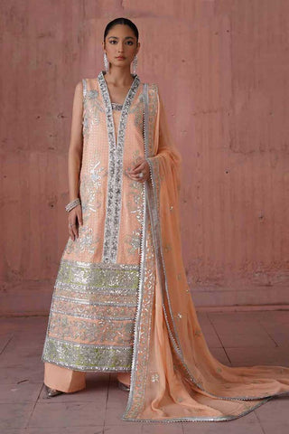 QFD 0048 Capsule Naqsh Embroidered Chiffon Wedding Collection
