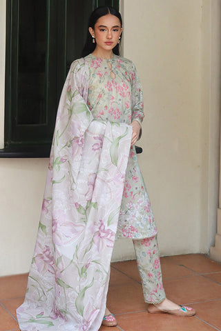 Prints Daily Lawn Collection - Olive Aura