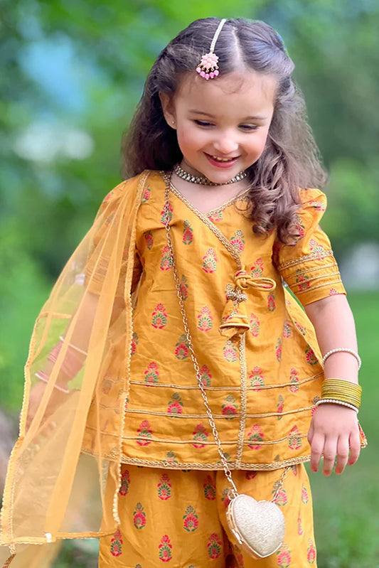 Picture of Modest - Festive Collection - Shining Bee - Available at Raja Sahib