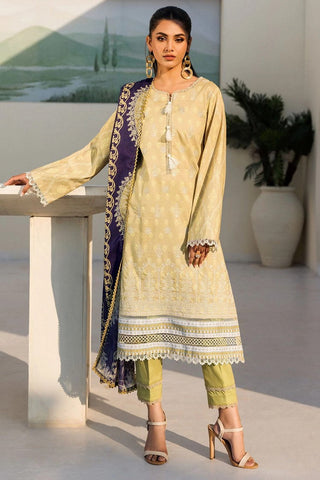 4635 PASBAAN Umang Embroidered Lawn Collection