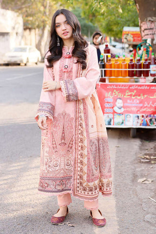 Picture of Asim Jofa - AJBB-20 Prints Collection Vol 3 - Available at Raja Sahib