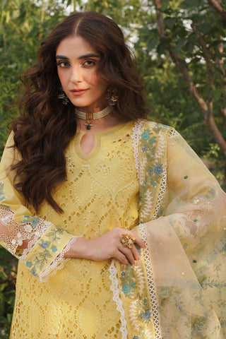 ML 05 Nehal Luxury Lawn Collection