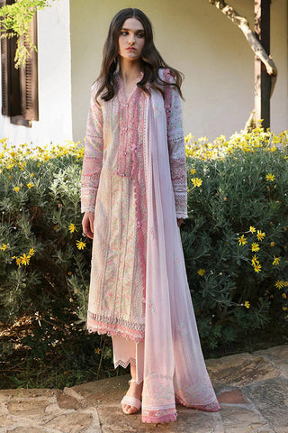 Rosa (D8-B) Aylin Summer Lawn Collection