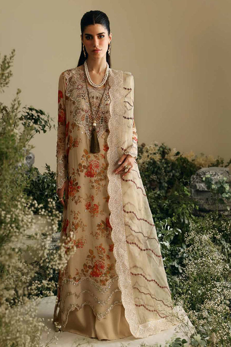 Amaya Luxury Chiffon Collection<!--2024-->