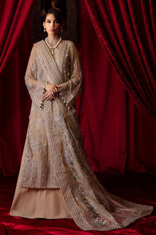 NEL-48 Elanora Embellished And Embroidered Luxury Chiffon Collection Vol 2