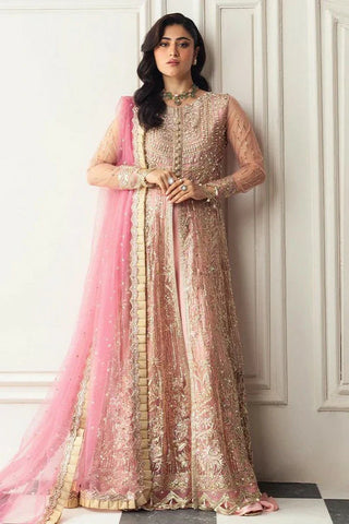 Picture of Mushq - Hemline Aura Debut Wedding Collection - 08 Amaranth - Unstitched - Available at Raja Sahib