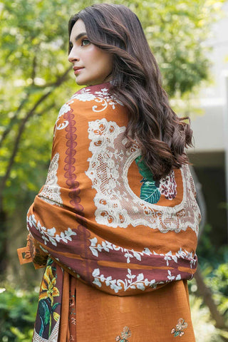 Picture of Asifa & Nabeel - Winter Luxury Collection - CARAMEL WL-01 - Unstitched - Available at Raja Sahib