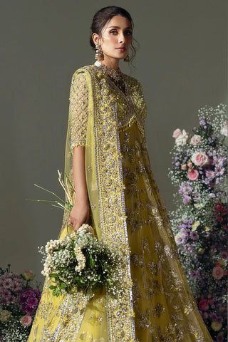 Picture of Elan - Wedding Festive Collection - LIME BLOSSOM (EC24-03) - Unstitched - Available at Raja Sahib