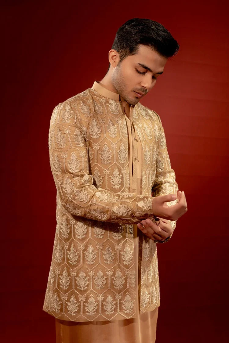 Picture of Ahmad Raza - The Wedding Affair - AR9024 - Available at Raja Sahib