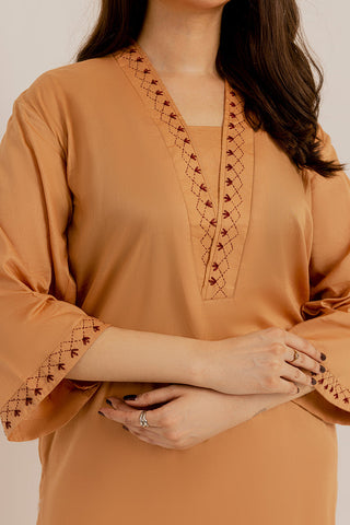 Picture of The Slay Wear - Basic Stitched - Beige Embroidered Dress - Available at Raja Sahib