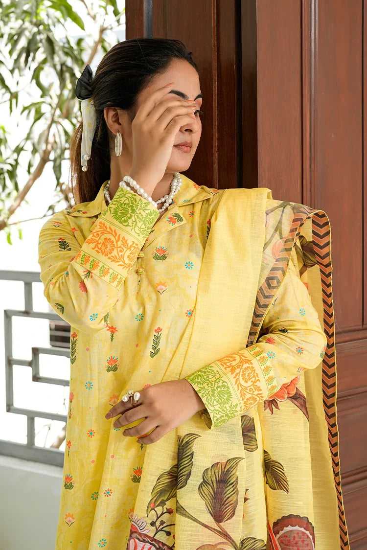 Picture of Tasneem Shamim - Fusion Waves - 2 Piece - Sereneh - Available at Raja Sahib
