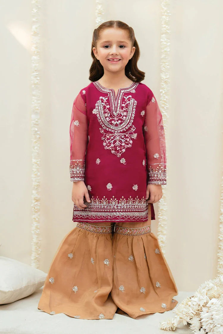 Picture of Garnet - The Little Boutique - 2 PC Stitched - Mehroon - Available at Raja Sahib