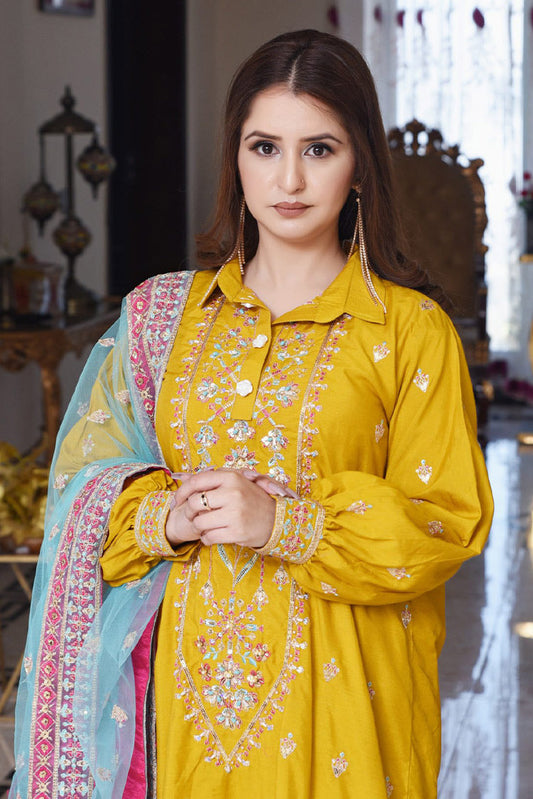 Picture of Ayat - Haseen RTW Collection - Chandan - Available at Raja Sahib