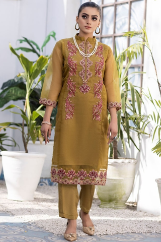 Ketifa - Organza 2 Pc Ready To Wear Collection - Dazzling Jazzy