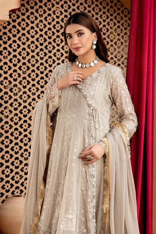 Picture of Manahils - Jal Pari RTW Collection - Angrakha-B-008-Sand - Available at Raja Sahib