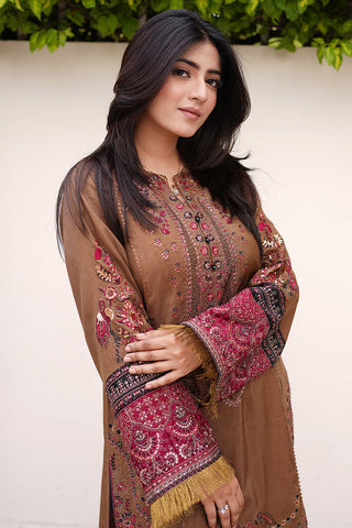 Embroidered Dull Raw Silk Suit L0955 - 2 Piece