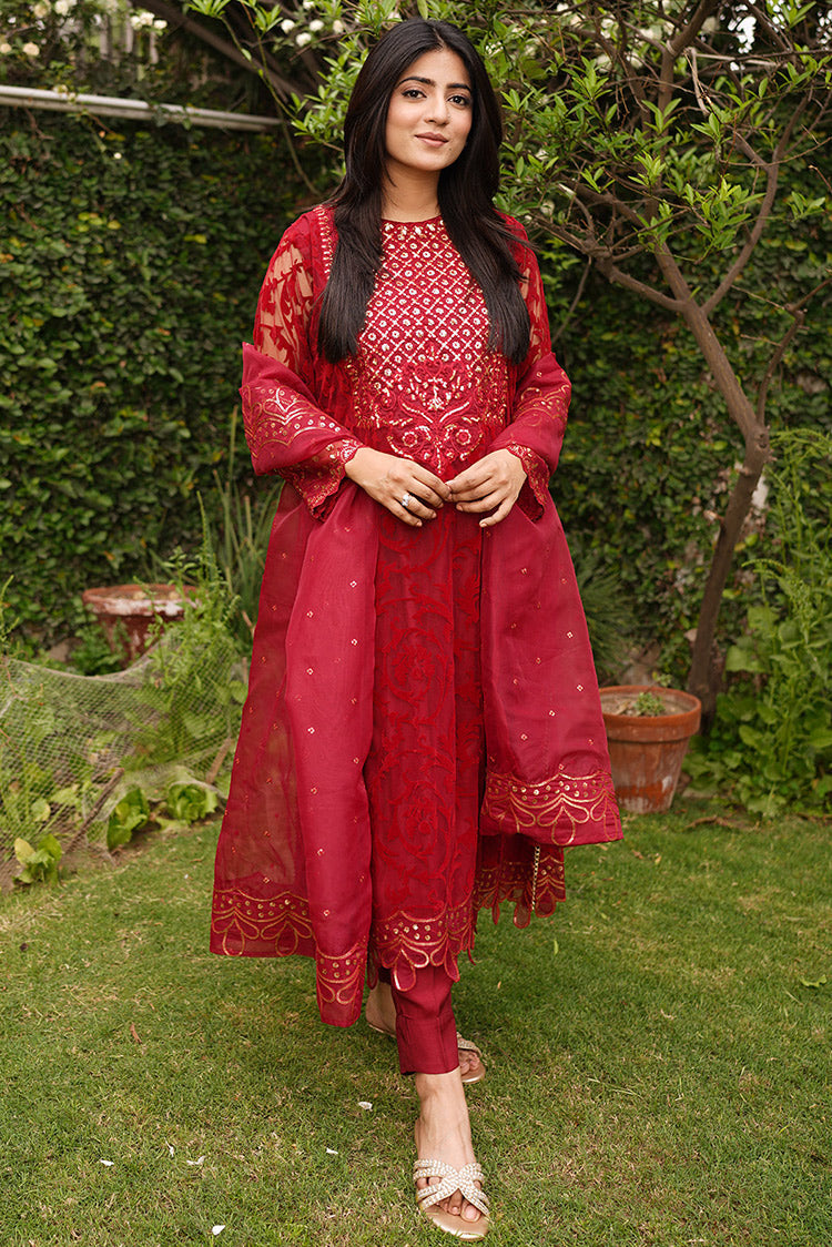 Picture of Embroidered Brosha Net Suit L1146 - 3 Piece - Available at Raja Sahib