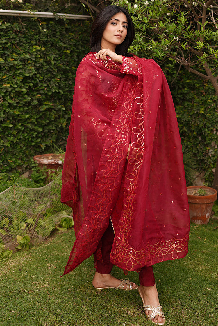 Picture of Embroidered Brosha Net Suit L1146 - 3 Piece - Available at Raja Sahib