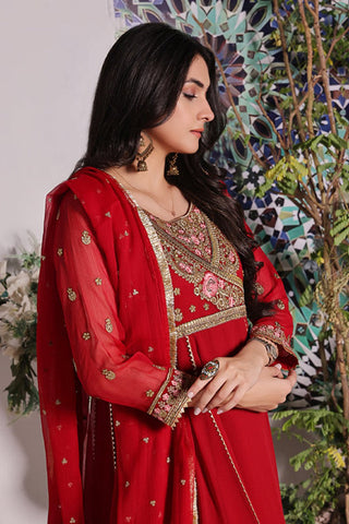 Picture of Abaan Zohan - Noori Collection - Red - Available at Raja Sahib