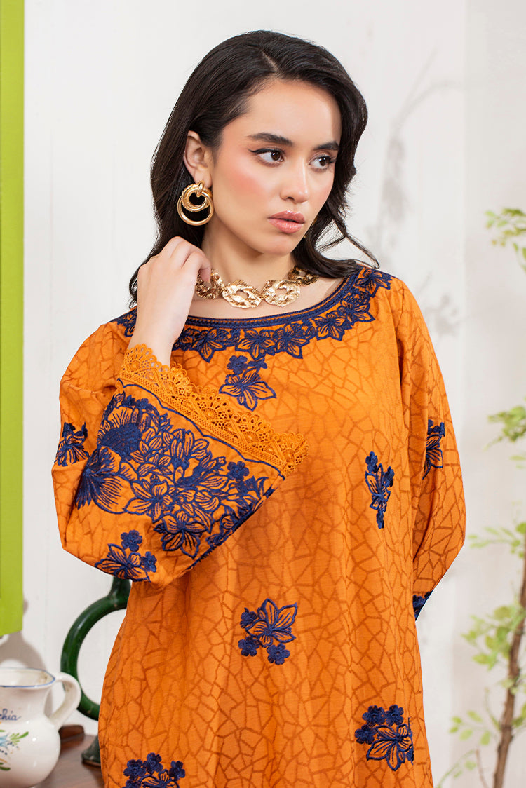 Picture of Declare - Viscose Jacquard Collection - 2 Piece - P001169 - Available at Raja Sahib