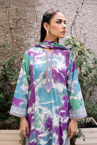 2 Piece - Embroidered Textured Lawn Suit P1092A