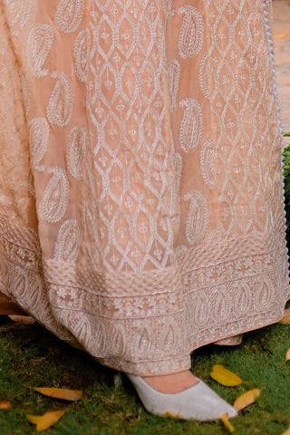 Picture of Manahils - Safiyya RTW Collection - Peach-Alpha-Lavish-118 - Available at Raja Sahib